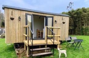 Rosie the Shepherds Hut